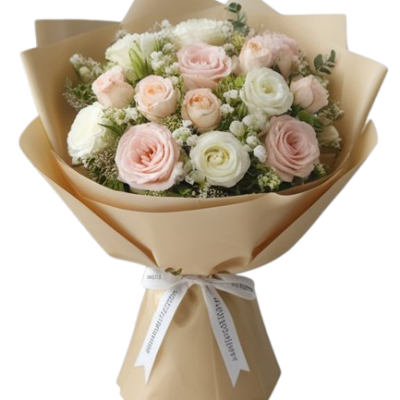 5c4197438534c5133fcf418341df35d6-removebg-preview